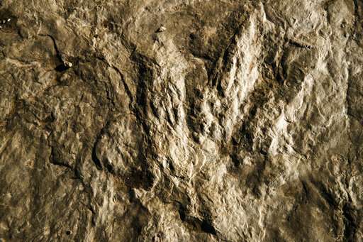 Dinosaur tracks make fresh impression at Valley Forge park