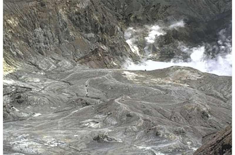 Dozens feared dead in eruption of New Zealand volcano