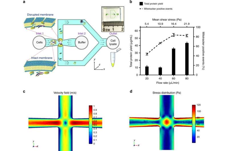 Extracting functional mitochondria using microfluidics devices