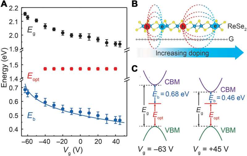 **Giant gate-tunable bandgap renormalization and excitonic effects in a 2-D semiconductor