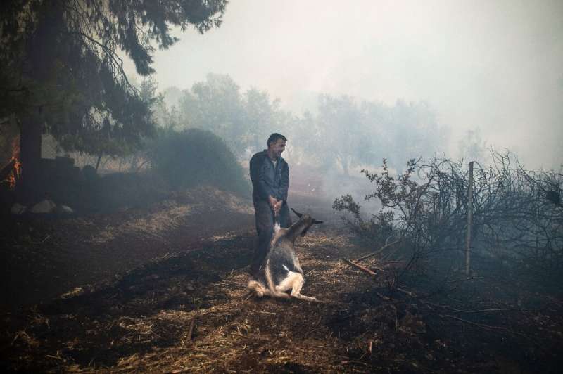 Greece has been hit by a spate of wildfires since the weekend, fanned by gale-force winds and temperatures of 40 degrees Celsius