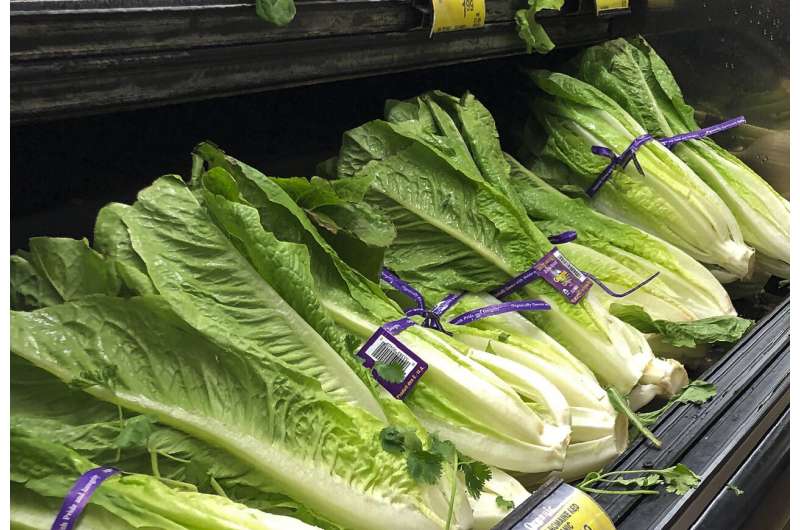 Health officials disclose another romaine outbreak, now over