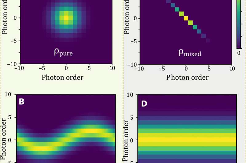 Holographic imaging of electromagnetic fields using electron-light quantum interference