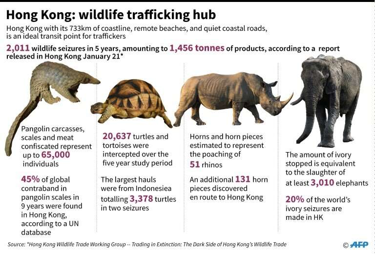 Hong Kong: wildlife trafficking hub
