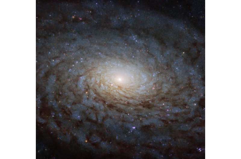 Image: Hubble snags starry galaxy