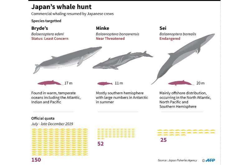 Japan whaling targets
