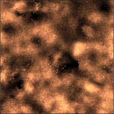 Leiden physicists image lumpy superconductor