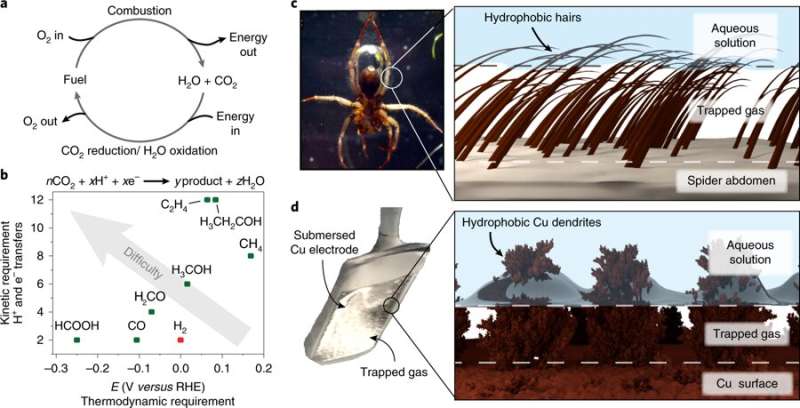 Mimicking the diving bell spider to improve CO2 conversion into fuels