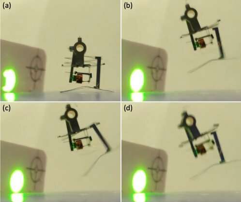 New designs for jumping and wing-flapping microrobots