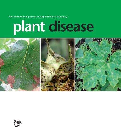 New diagnostic tool developed for global menace Xylella fastidiosa increases specificity