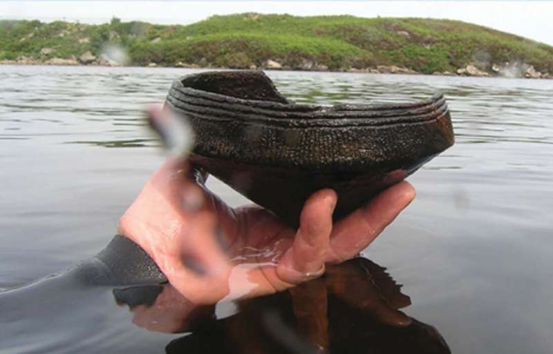 New evidence suggests Scottish crannogs thousands of years older than thought