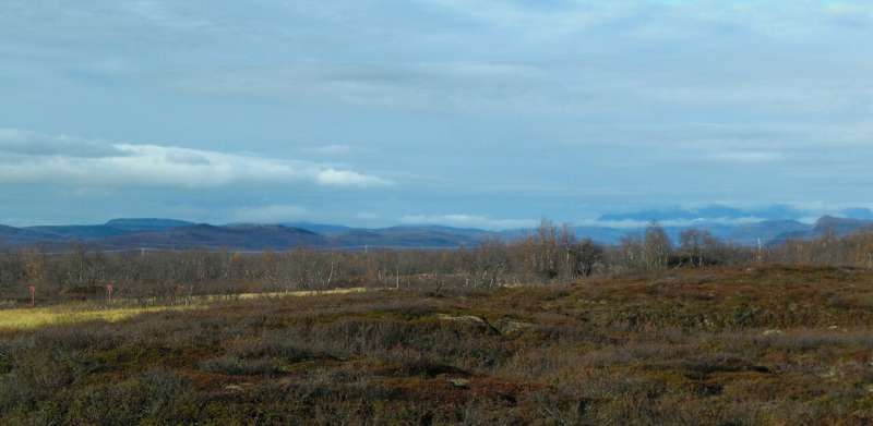 New research from Arctic: Thawing permafrost peatlands may add to atmospheric CO2 burden