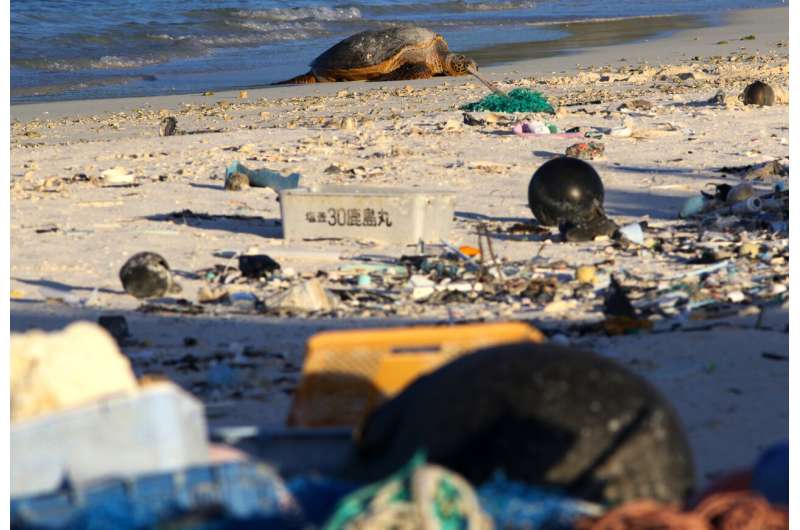 Pacific bird refuge struggles as ocean garbage patch grows