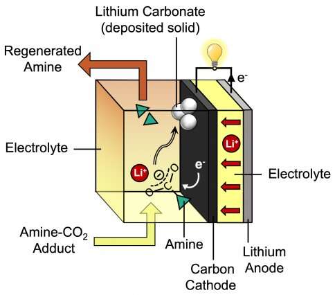Removing carbon dioxide from power plant exhaust