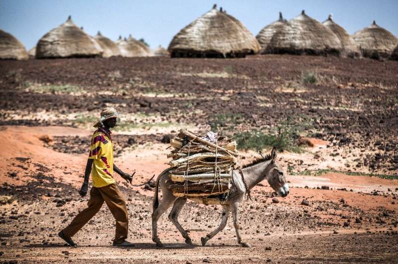 Rising temperatures in the African Sahel have caused prolonged drought and unpredictable weather patterns, exacerbating food sho