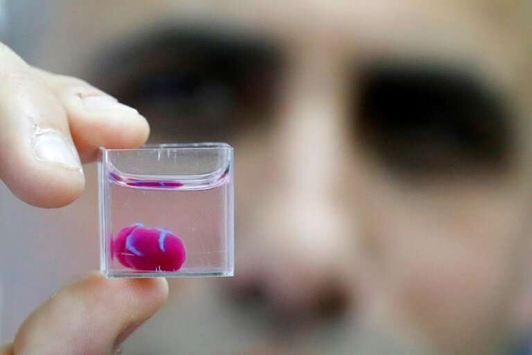 Scientists in Israel say they have produced the first 3D print of a heart with human tissue and vessels, calling it a &quot;majo