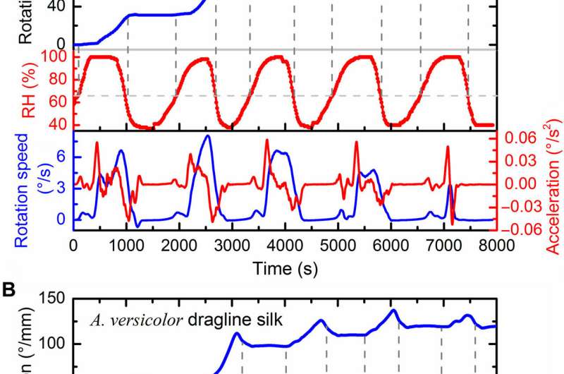 Spider dragline silk as torsional actuator driven by humidity for applications as artificial muscle