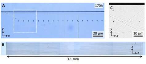 **Three-dimensional femtosecond laser nanolithography of crystals