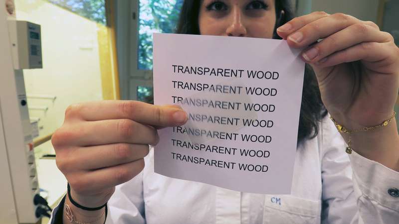 Transparent wood: the building material of the future?