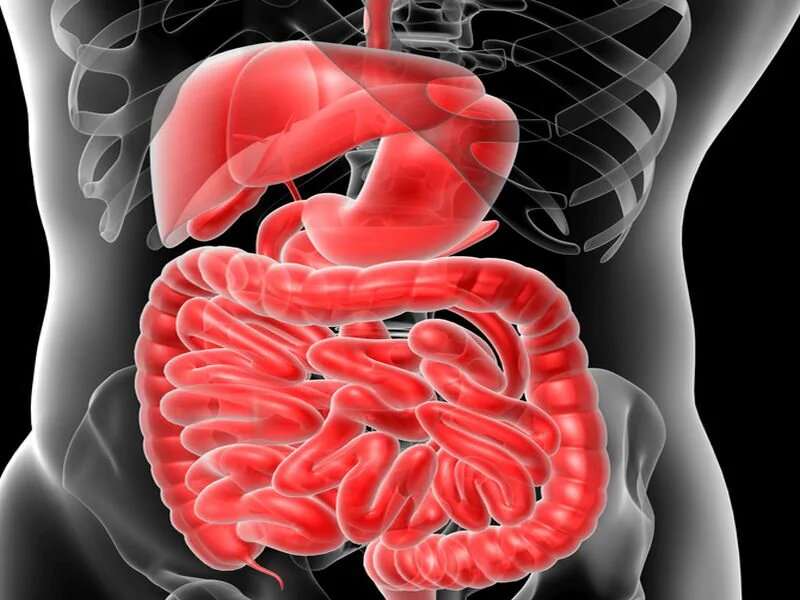Type 2 diabetes risk up with inflammatory bowel disease