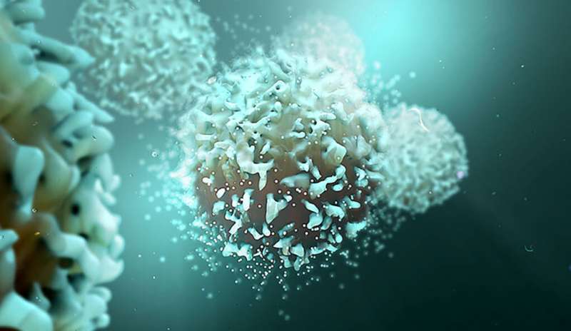 Yale researchers identify rare inherited immune disease