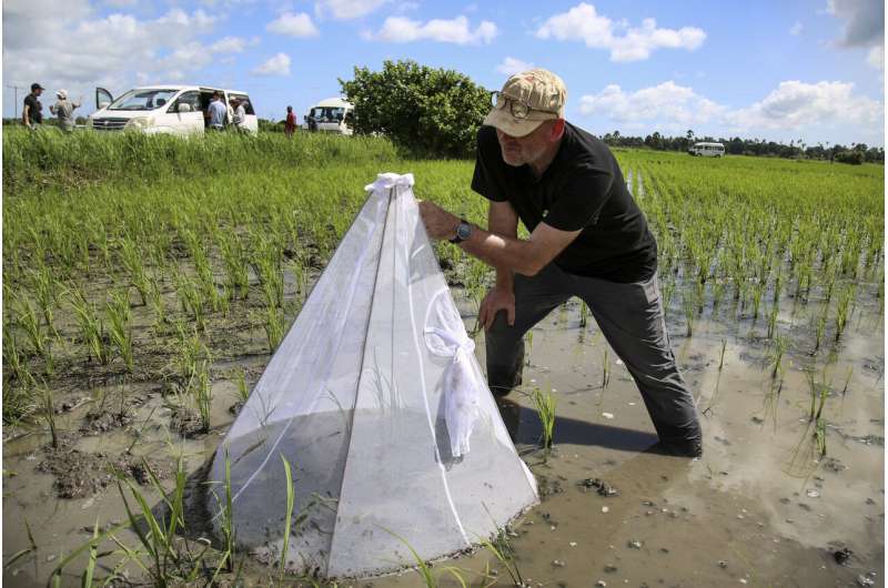Zanzibar tests drones spraying rice fields to fight malaria