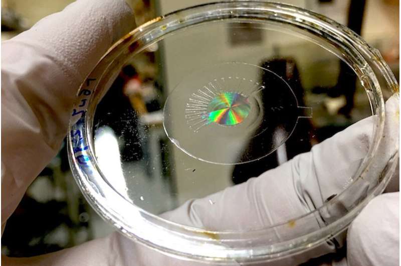 Breakthroughs seen in artificial eye and muscle technology