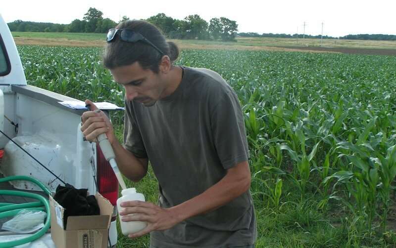 Researchers discover corn plants call in hungry nematodes when resistant rootworms attack