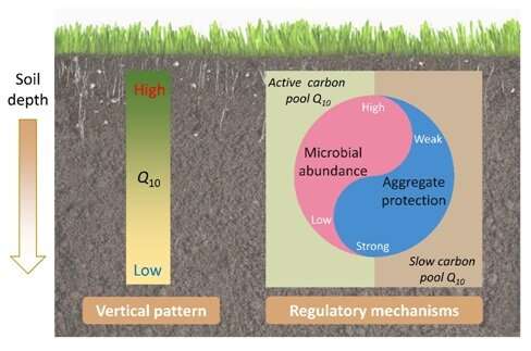 Researchers reveal mechanisms for regulating temperature sensitivity of soil organic matter decompos