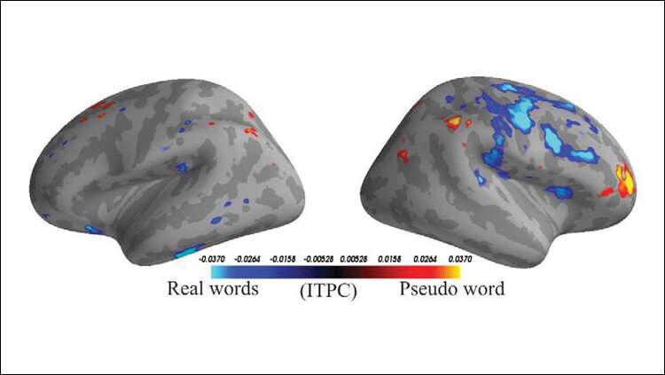 Machine learning classifies word type based on brain activity