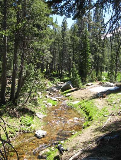 Climate change and drought threaten small mountain streams in the Sierra Nevada