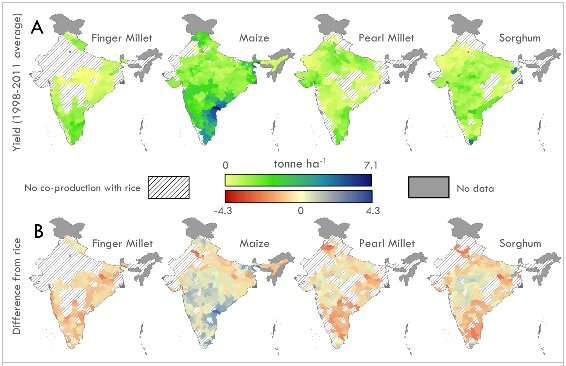Researchers study how climate change affects crops in India