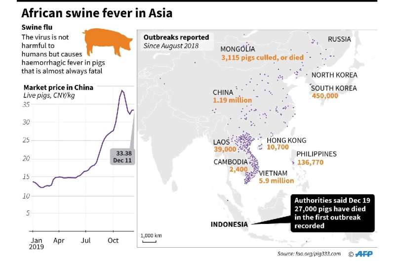 African swine fever in Asia