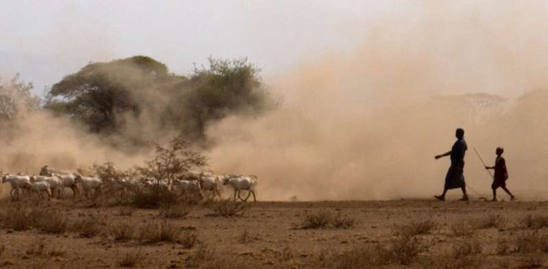 Ancient DNA is revealing the origins of livestock herding in Africa