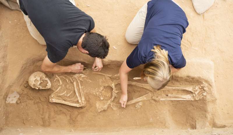 Ancient DNA sheds light on the origins of the Biblical Philistines