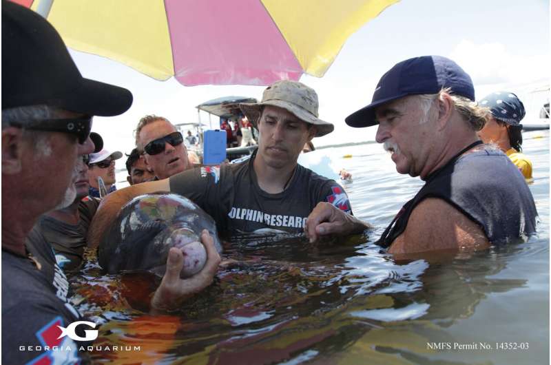 Newswise: Antibiotic Resistance Surges in Dolphins, Mirroring Humans