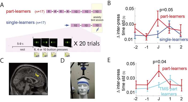 Brain stimulation prevents anxiety-induced decrease in motor performances