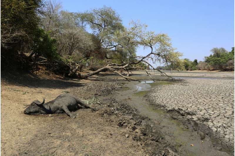 Drought parches southern Africa, millions faced with hunger