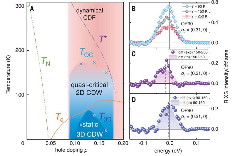 Dynamic charge density fluctuations pervading the phase diagram of a Cu-based high-Tc superconductor.