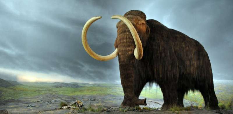 Extinction of ice age giants likely drove surviving animals apart