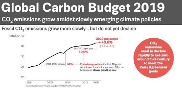 Global carbon emissions increase but rate has slowed