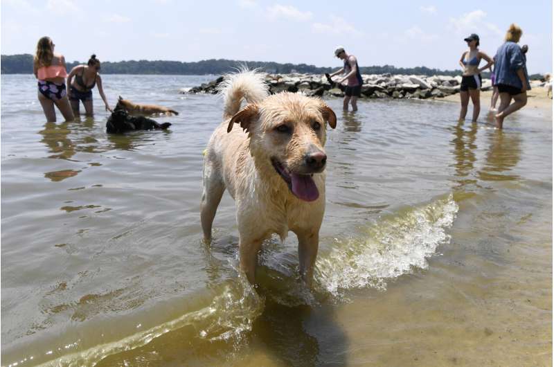 Heat and humidity grip East Coast as Midwest gets reprieve