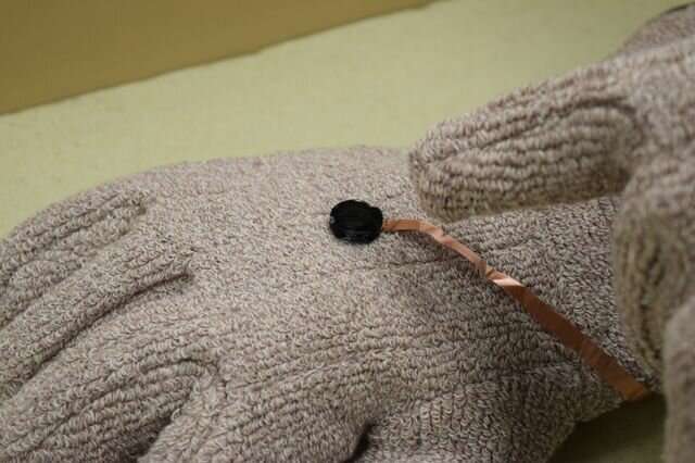 **Scientists create fire-retardant sensors for safety gear in harsh environments