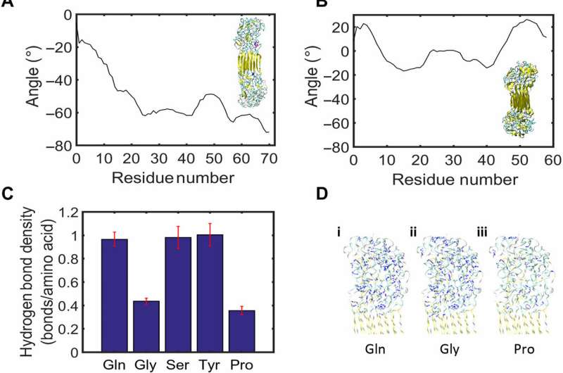 Spider dragline silk as torsional actuator driven by humidity for applications as artificial muscle