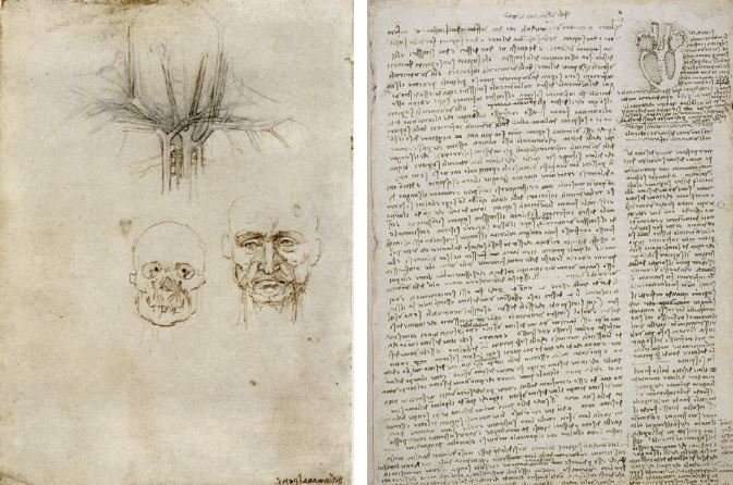 The body according to Leonardo da Vinci