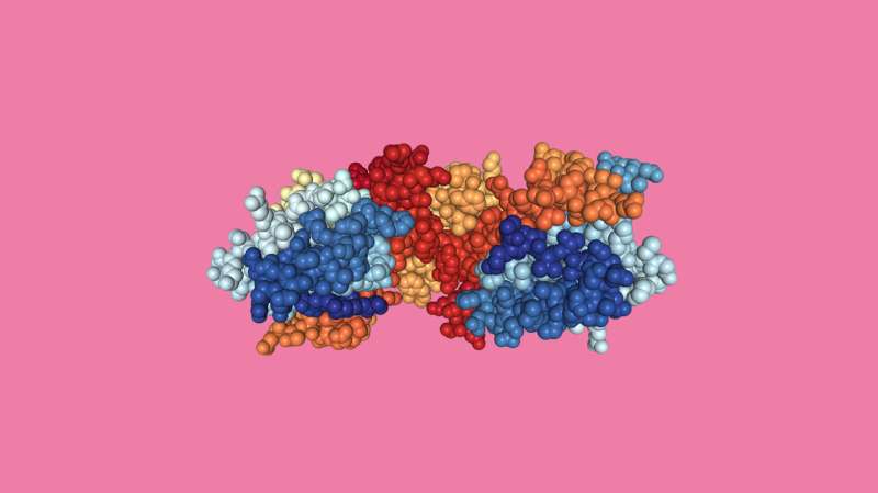 Scientists identify potential drug target for BRCA-mutated tumours