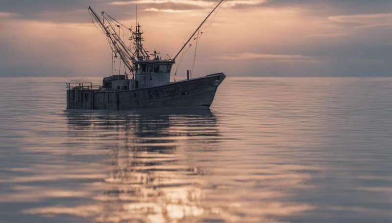 Artificial intelligence makes fishing more sustainable by tracking illegal activity