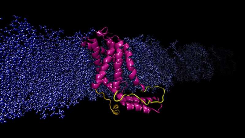 Study reveals limitations of method for determining protein structure