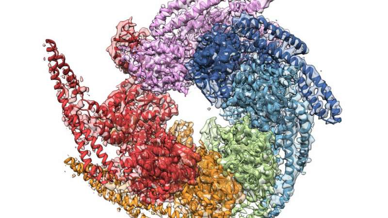 Breakthrough shines light on disease-fighting protein