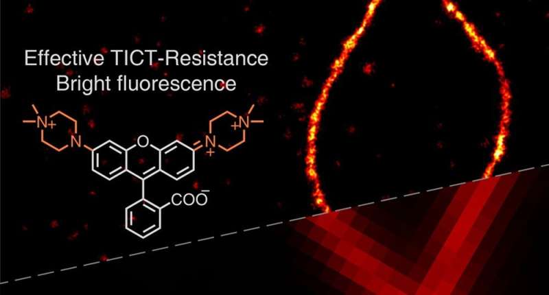 Illuminating the path for super-resolution imaging with improved rhodamine dyes